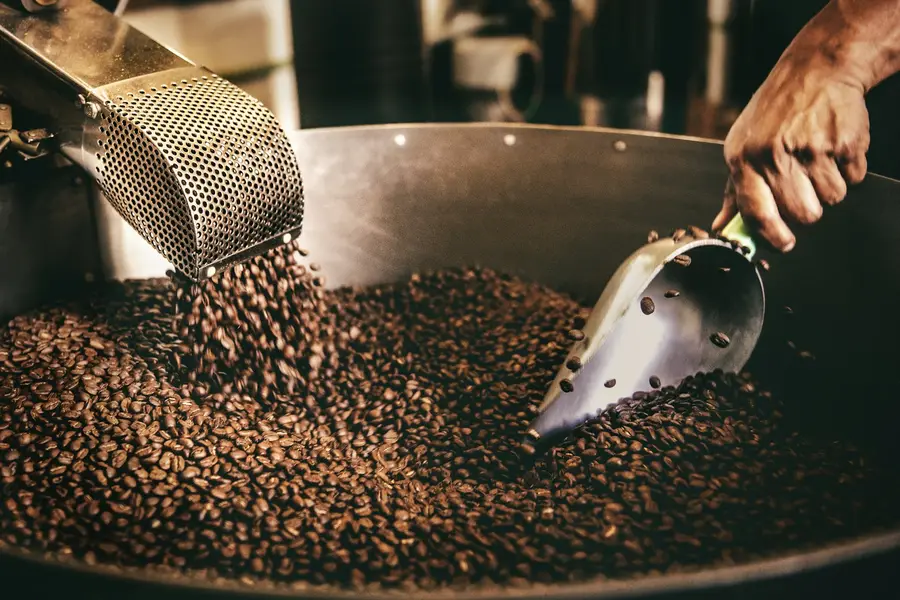 Vers gebrande koffiebonen worden omgeschept in de brander