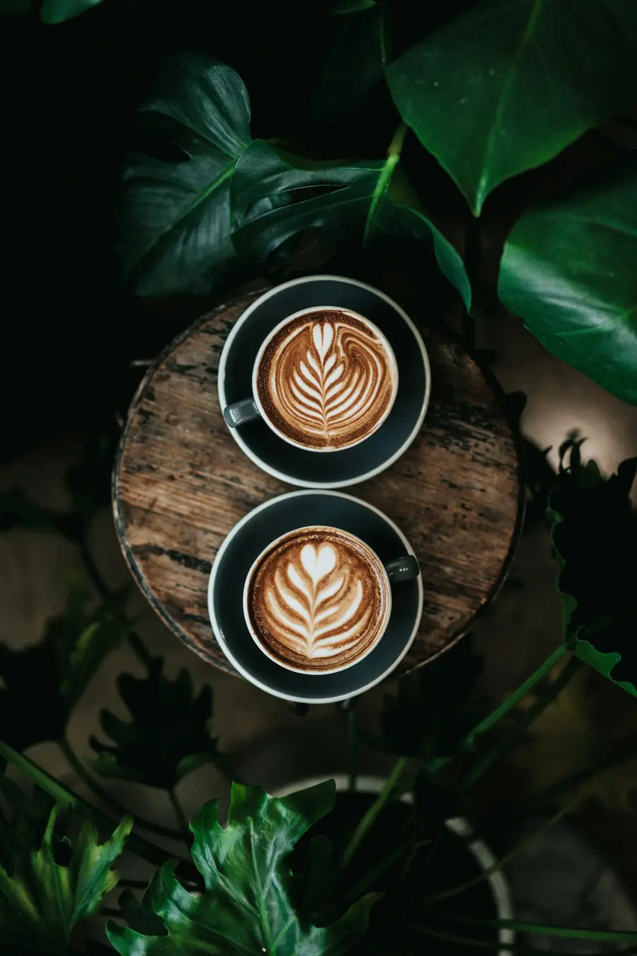 Twee cappuccino's van boven tussen groene bladeren